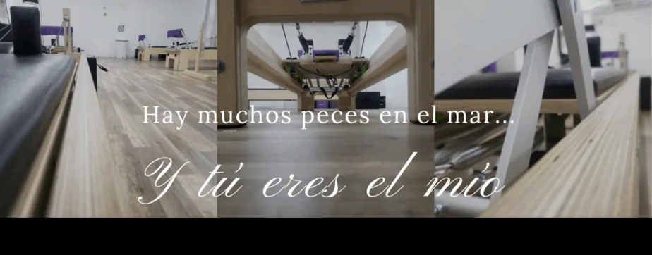 venta de camas de pilates