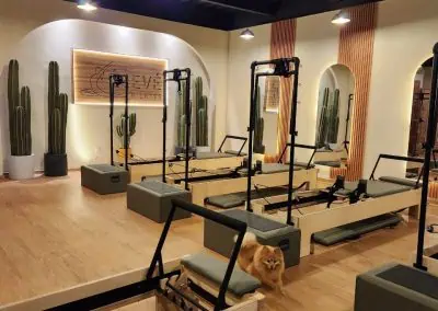 reformer pilates cdmx